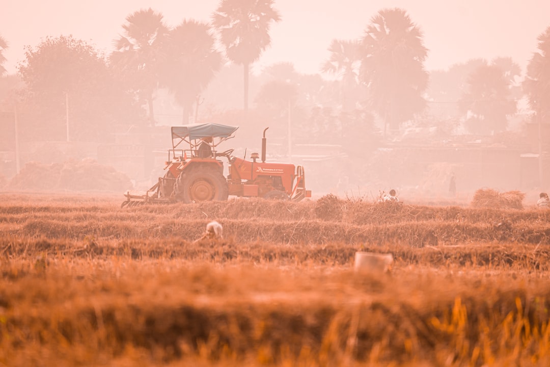Экологическое воздействие закиси азота (N2O) на природу